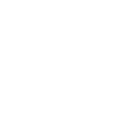 xAI logo